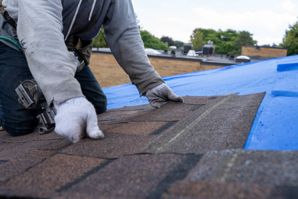 Best Metal Roofing Contractor  in Kayak Point, WA