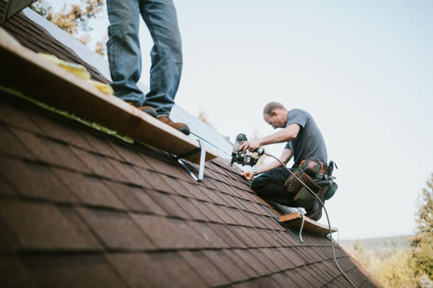 Best Roof Gutter Cleaning  in Kayak Point, WA